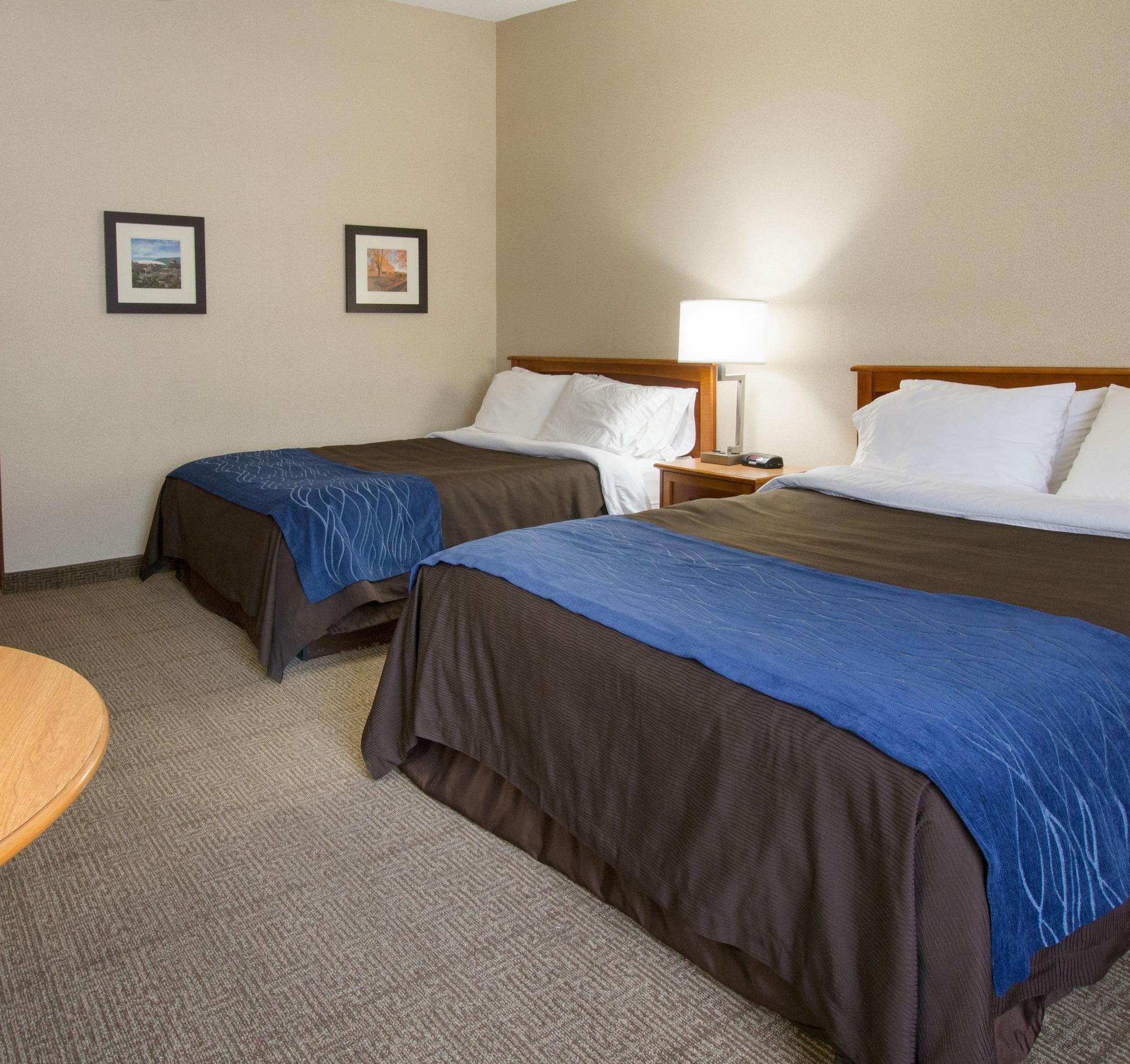 Comfort Inn & Suites Syracuse-Carrier Circle East Syracuse Kültér fotó