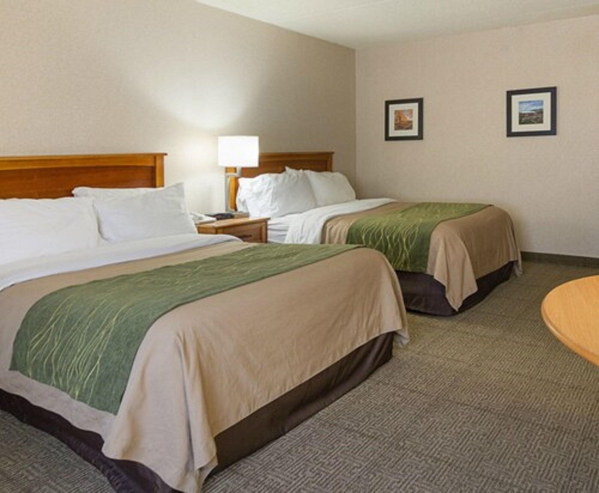 Comfort Inn & Suites Syracuse-Carrier Circle East Syracuse Kültér fotó