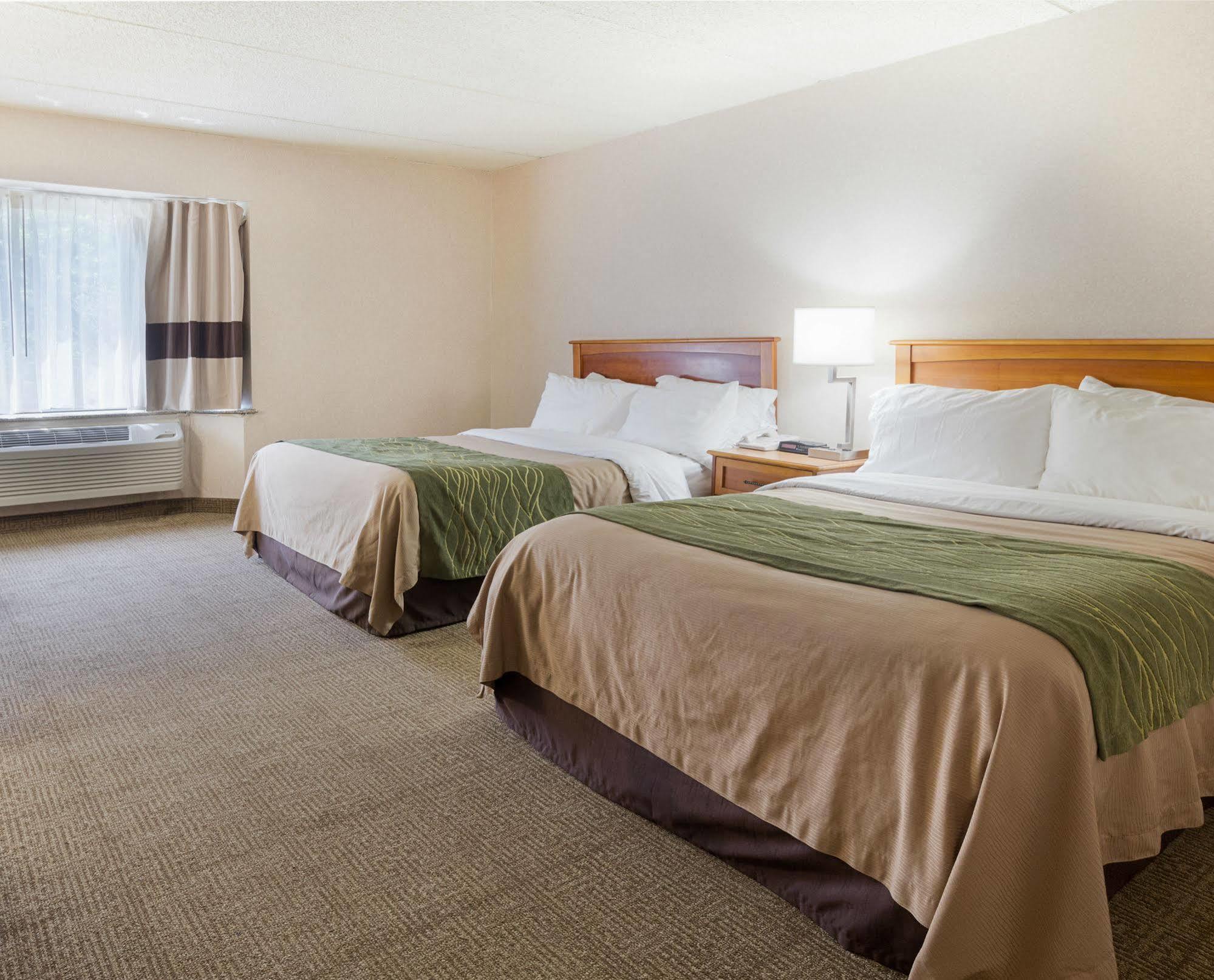 Comfort Inn & Suites Syracuse-Carrier Circle East Syracuse Kültér fotó